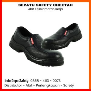 Shoes Cheetah Revolution 3001H