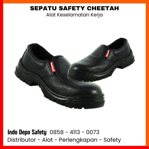 Shoes Cheetah Revolution 3001H