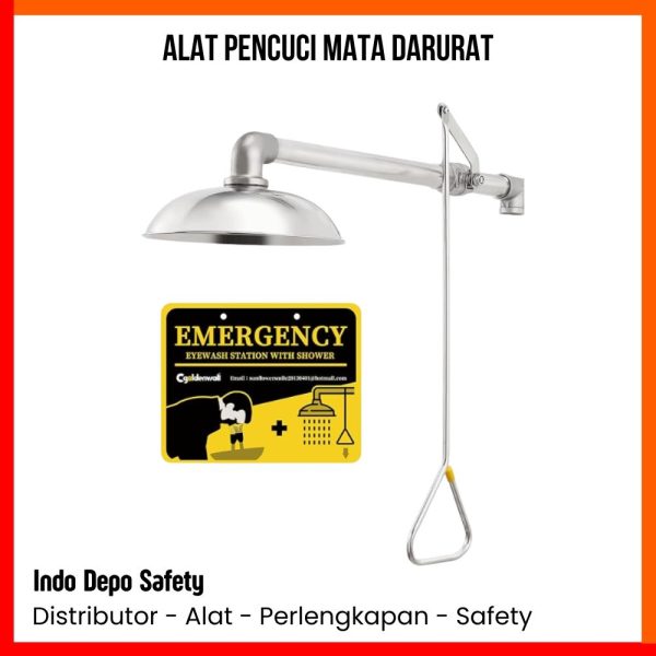 Emergency Eye Wash Drench Shower Mounted - Image 2